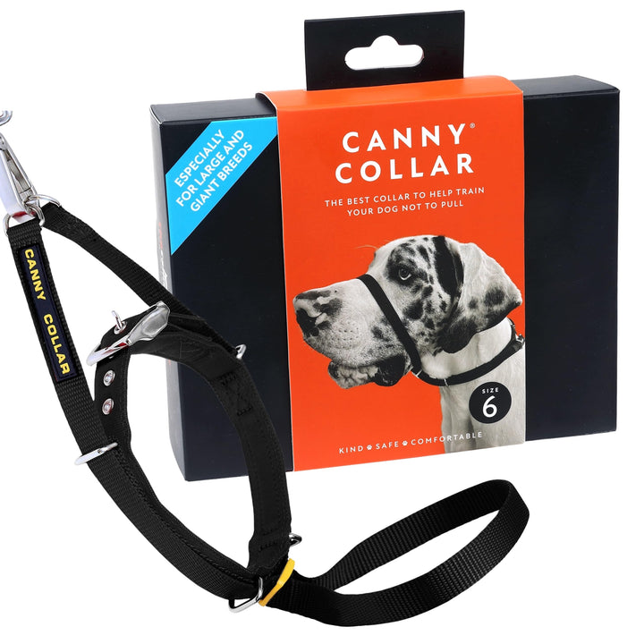 Canny Dog Collar Black Grösse 6 Schwarz Grösse 6 - Halsumfang 48-53cm, Schwarz Grösse 6 - Halsumfang