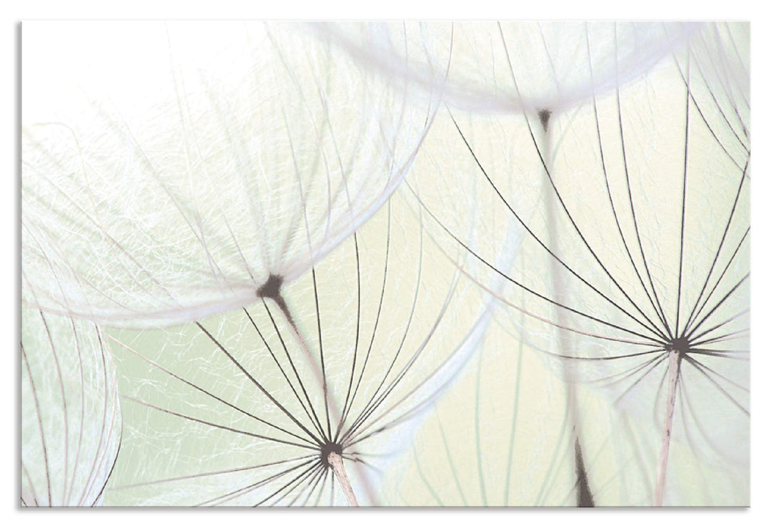 ARTland Spritzschutz Küche aus Alu für Herd Spüle 90x60 cm (BxH) Küchenrückwand mit Motiv Blume Pust