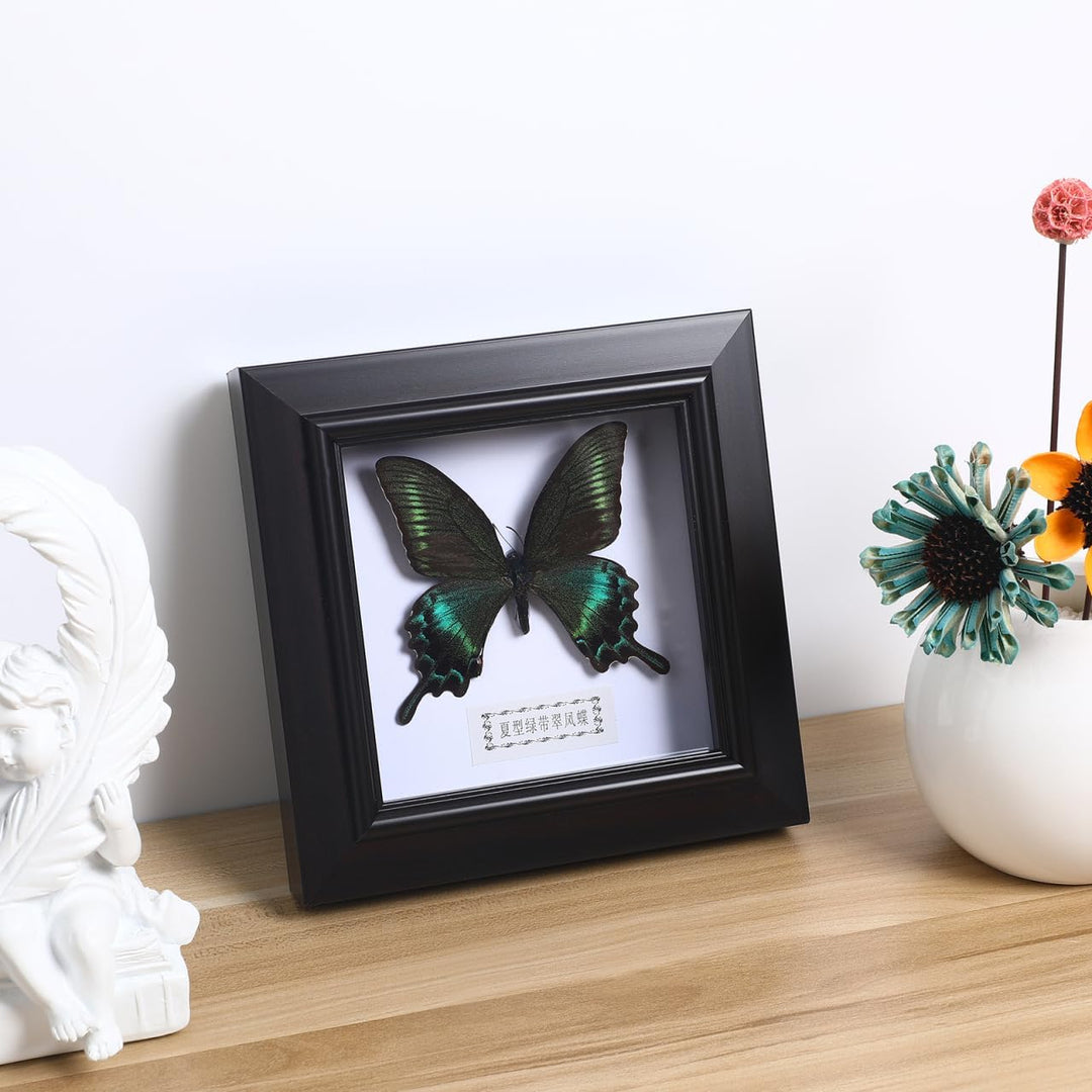 Homoyoyo Rahmen Für Schmetterlingsexemplare Exquisiter Blauer Morpho-Schmetterling Gerahmt Und Monti