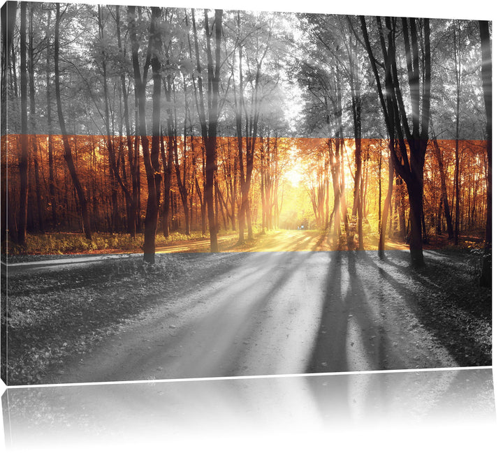 Allee im Herbstlicht schwarz/weiss Format: 100x70 auf Leinwand, XXL riesige Bilder fertig gerahmt mi