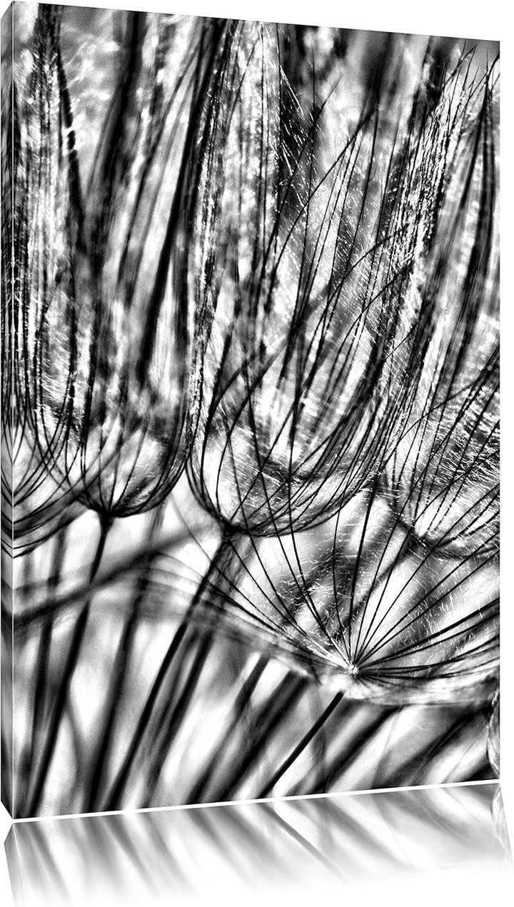 Monocrome, Pusteblumen, Format: 100x70 auf Leinwand, XXL riesige Bilder fertig gerahmt mit Keilrahme
