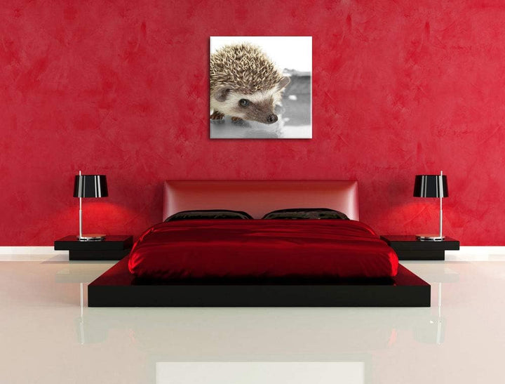 Pixxprint Kleiner süsser Igel als Leinwandbild/Grösse: 70x70 cm/Wandbild/Kunstdruck/fertig bespannt,