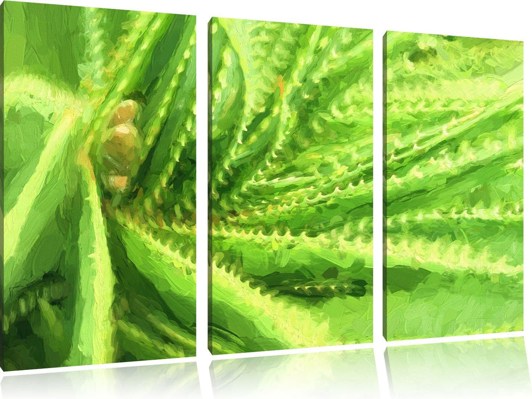 Pixxprint Aloe Vera Pflanze als Leinwandbild/Grösse: 3 Teilig (120x80 cm) cm/Wandbild/Kunstdruck/fer