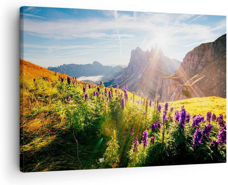 Bilder auf Leinwand Berge Wiese Blumen Leinwandbild mit Rahmen 70x50cm Wandbilder Dekoration Wohnzim