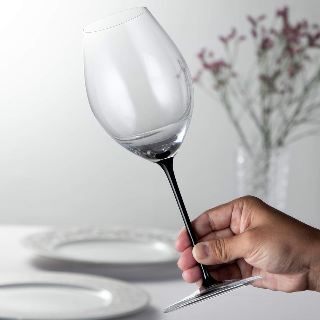 Riedel 4100/30 Sommeliers Black Tie Hermitage (Syrah) 1/Dose, Syrah