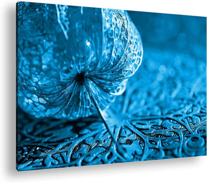 deyoli Herbstliche Lampionblume Format: 80x60 Effekt: Monocrome Blau als Leinwandbild, Motiv fertig