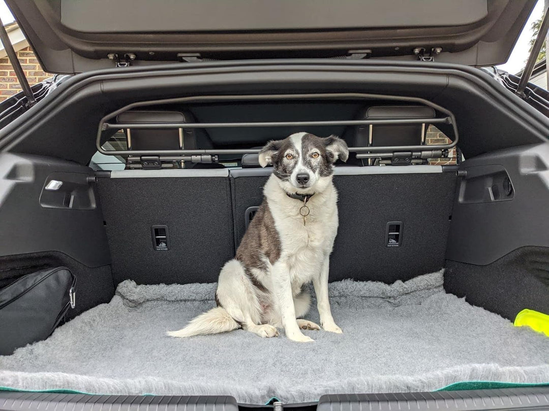 ERGOTECH Trenngitter Hundegitter für Volkswagen ID.3 (ab BJ 2020) RDA65HBG-2HXXS8 kvw044, für Hunde