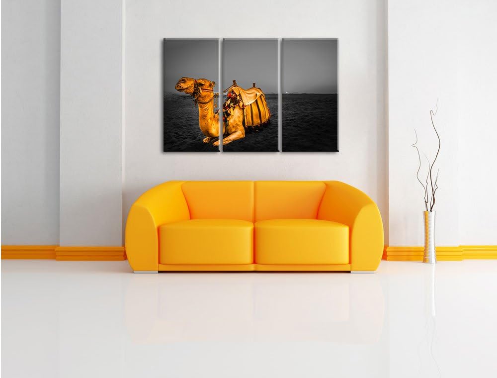 Pixxprint Kamel in Ägypten als Leinwandbild/Grösse: 3 Teilig (120x80 cm) cm/Wandbild/Kunstdruck/fert