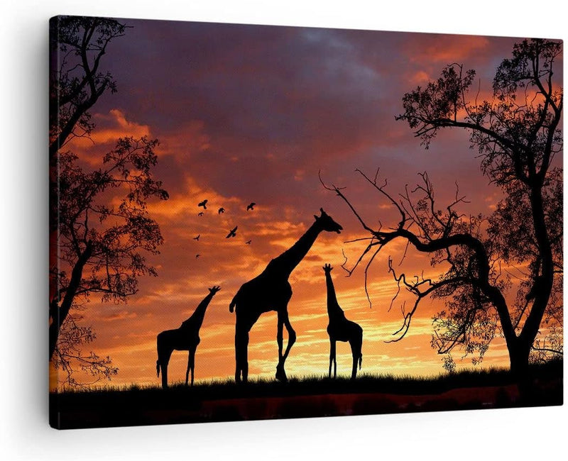 Bilder auf Leinwand Giraffe Afrika Sonne Safari Leinwandbild 70x50cm Wandbilder Dekoration Wohnzimme