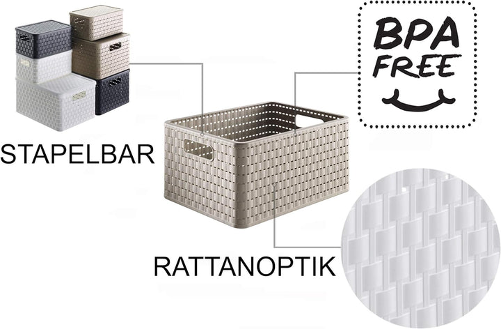 Rotho Country 3er-Set Aufbewahrungsbox Rattan-Optik, Kunststoff (PP) BPA-frei, Cappuccino, 3 x A4+/2