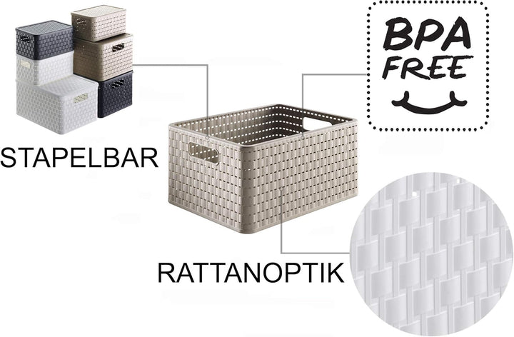 Rotho Country 3er-Set Aufbewahrungsbox Rattan-Optik, Kunststoff (PP) BPA-frei, Cappuccino, 14l, (32,