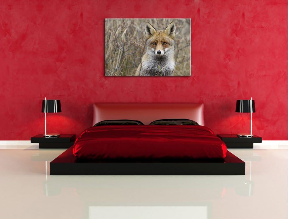 aufmerksamer Fuchs im Geäst Leinwand, XXL riesige Bilder fertig gerahmt mit Keilrahmen, Kunstdruck a