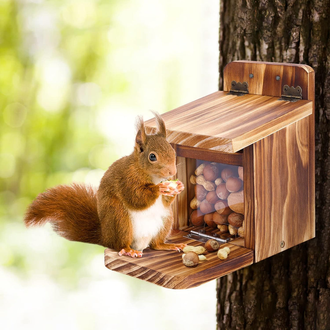 MIXXIDEA Holz-Eichhörnchen-Futterbox, stabiles Eichhörnchen-Futterhaus mit Dicke 1,5 cm, Holz, keine