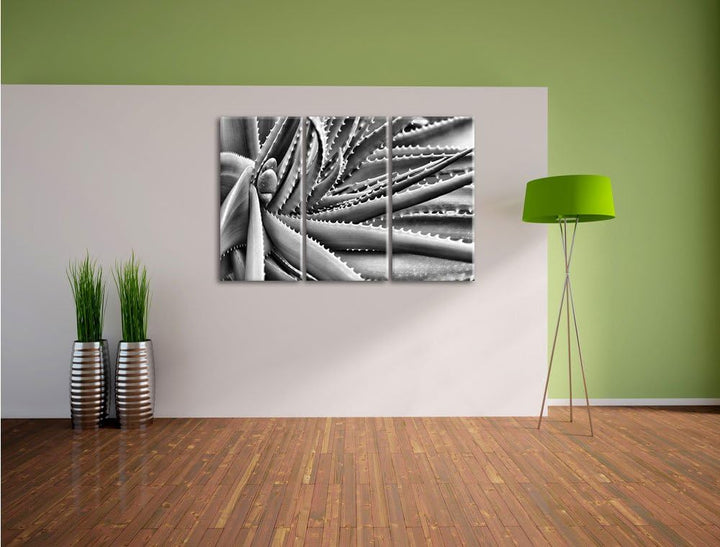 Pixxprint Grüne Pflanze mit Wassertropfen als Leinwandbild/Grösse: 3 Teilig (120x80) cm/Wandbild/Kun