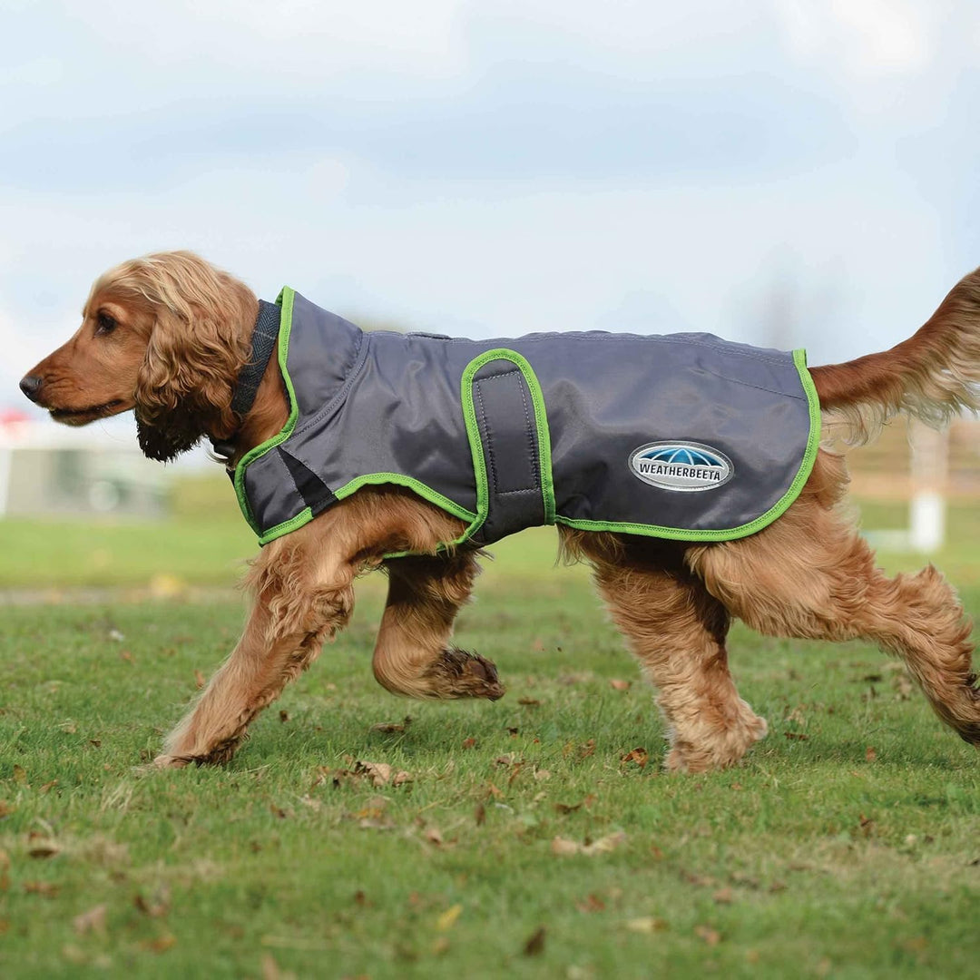 WeatherBeeta Hundemantel ComFiTec Windbreaker Free - 75 cm - Dunkelblau-Silber 30" Dunkelblau/grau/w