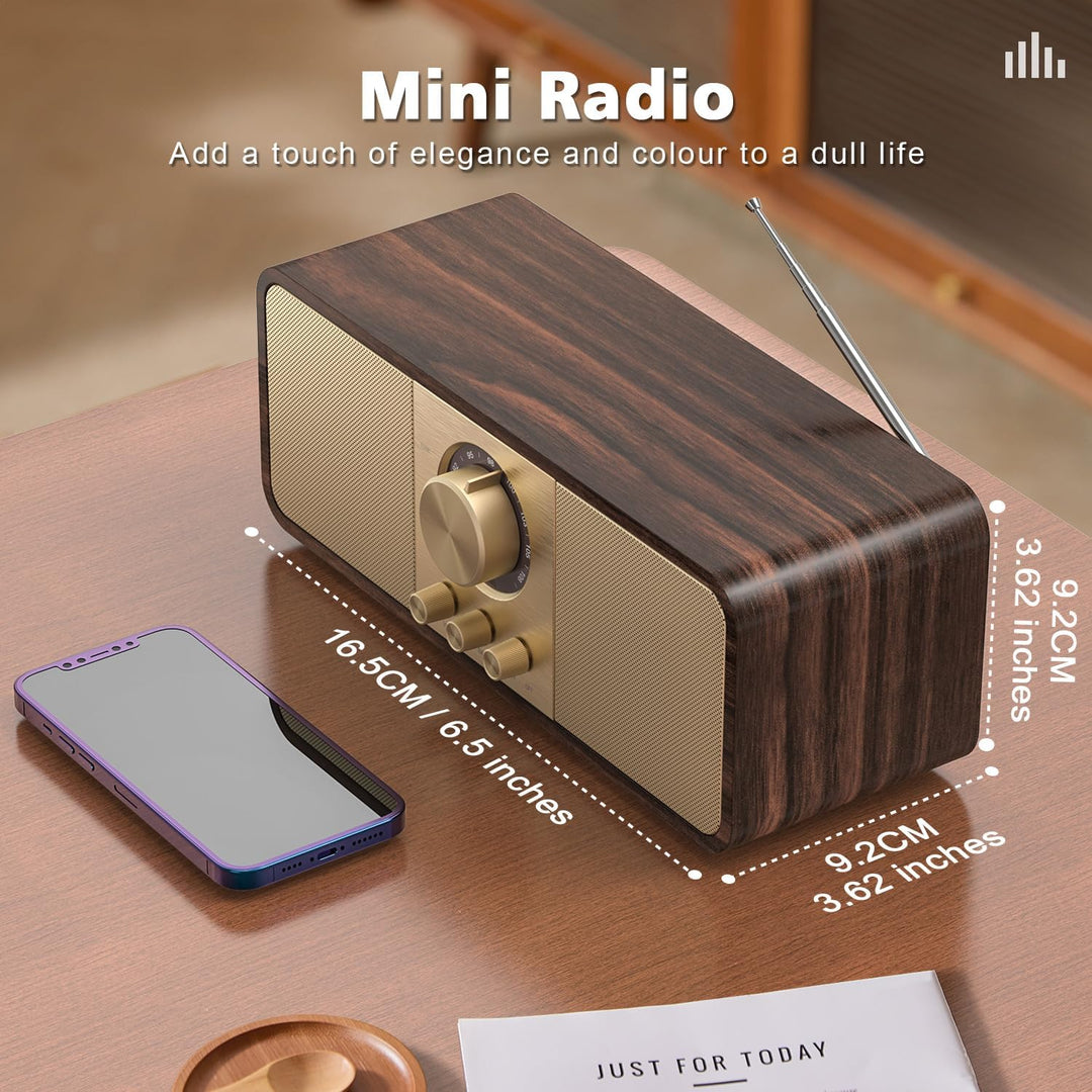 Nostalgie Radio, Retro Radios mit Bluetooth und TF Karte, 3000mAH Batteriebetrieben, mit 2 x 8 Watt