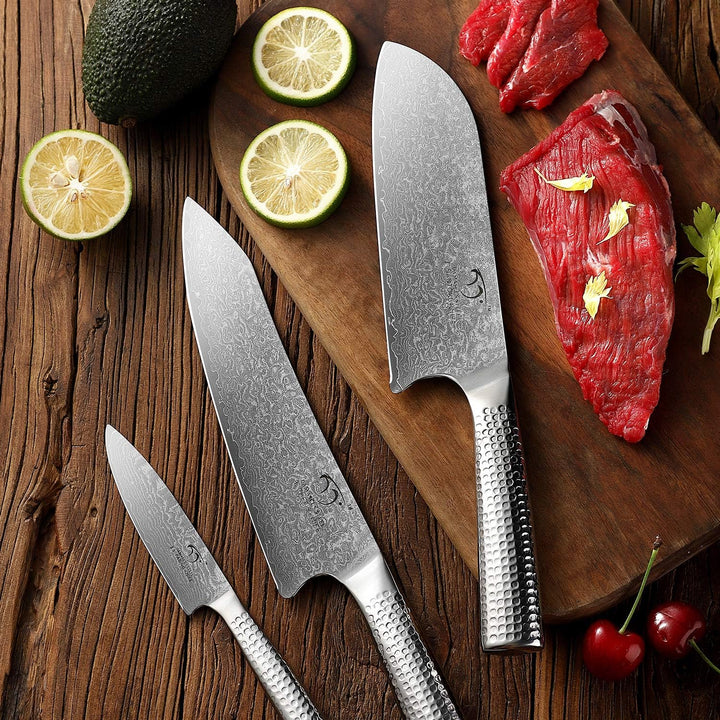 Damaskus Küchenmesser Set, Messerblocksets mit Kochmesser, Santoku Messer und Schälmesser, Professio