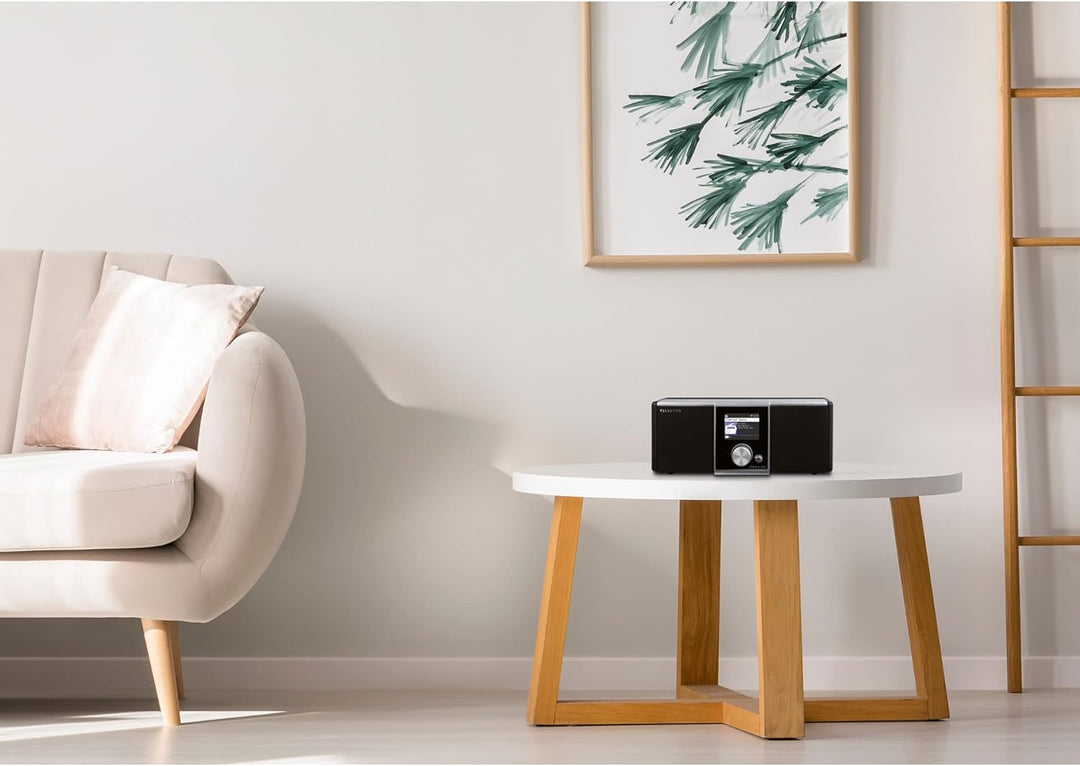 Telestar DIRA S 20C Kabelradio/Internetradio (DVB-C, AAC, Internet, WLAN, Bluetooth, Stereo, Farbdis