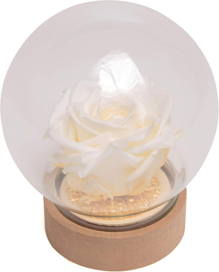 ROSEMARIE SCHULZ Heidelberg Infinity Rose im Glas echte langlebige Rose in Glaskugel rund (Large, We