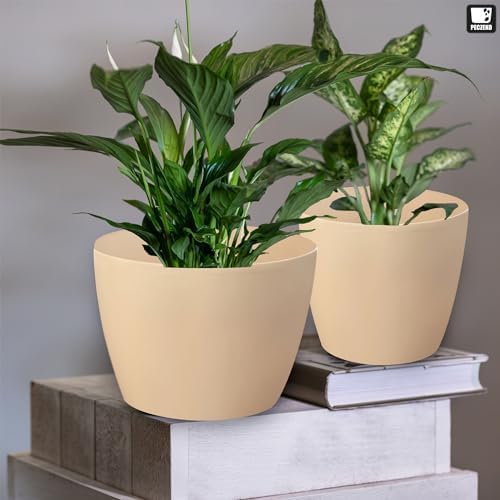 PECZEKO Glänzende Blumentöpfe - Deko Pflanztopf für Blumen & Kräuter - Langlebige & leichte runde Ku