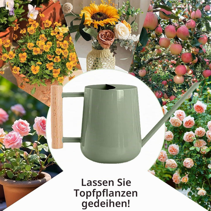 1L Giesskanne Zimmerpflanzen, (1000 ml) 35 Oz Metall Edelstahl Klein Giesskanne mit Langem Auslauf u
