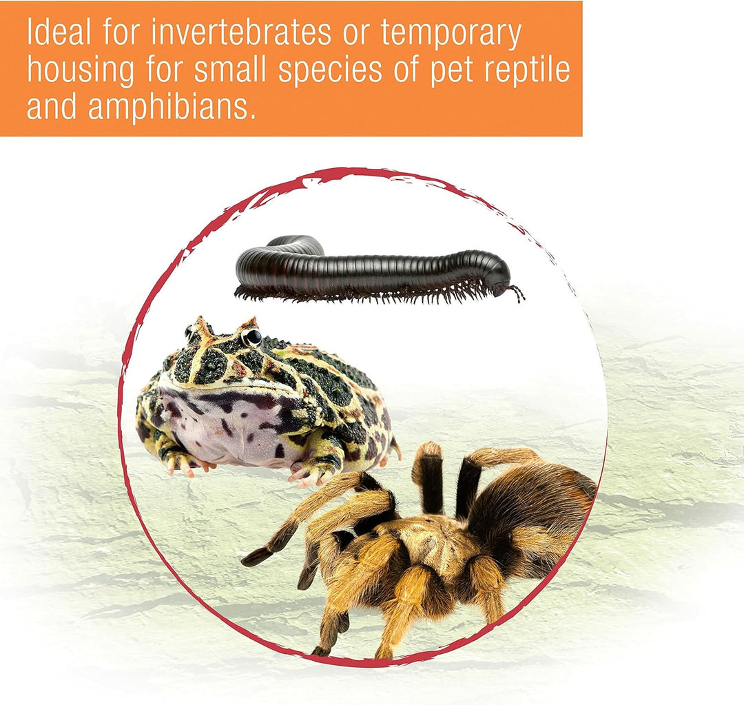 ZILLA Micro Habitats Terrestrisch, gross farblos Large, farblos Large