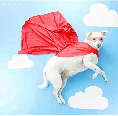 Selens PVC Hintergrund 120x200cm Wasserdicht Fotografie Hintergründe Matte Background für Fotostudio