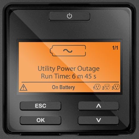 APC Smart-UPS SRT 1000VA RM 230V mit Netzwerkkarte USB/seriell - SRT1000RMXLI-NC