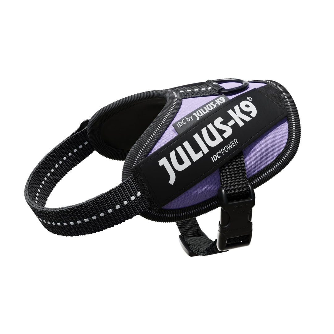JULIUS K-9 IDC Powergeschirr, Grösse: 2XS / Baby 2, Lila, 16IDC-PR-B2 Violett 2XS/Baby 2, Violett 2X
