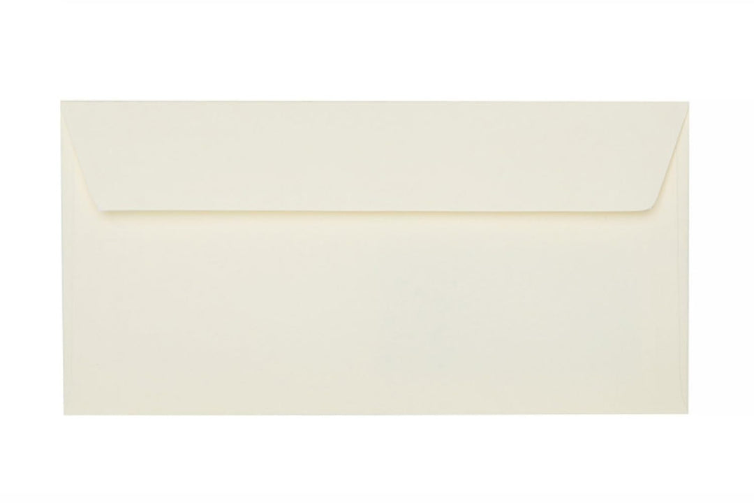 DIN lang Briefumschläge, 110x220mm, 120g, gerade Lasche mit Haftklebung, ideal für Geburtstag, Weihn