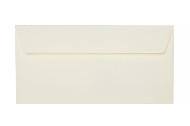 DIN lang Briefumschläge, 110x220mm, 120g, gerade Lasche mit Haftklebung, ideal für Geburtstag, Weihn