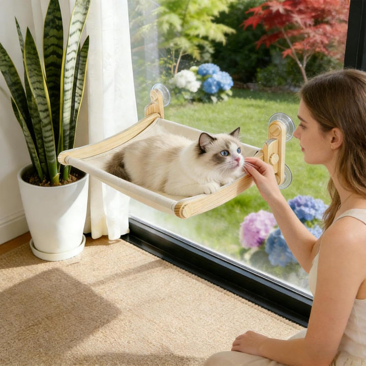 Katzen Fensterliege,Sitzbett Mit Saugnapf Für Katzen - Einfache Montage Katzenplatz | Für Zuhause Wo