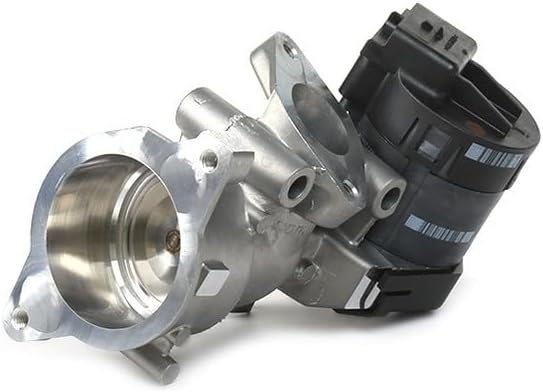 Delphi EG10396-12B1 Agr-Ventil