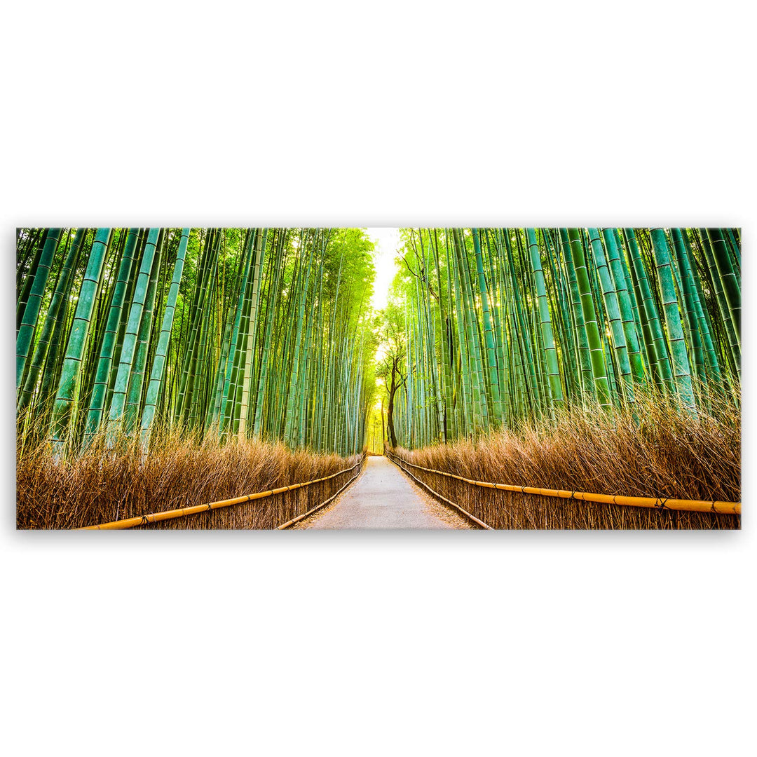ge Bildet Bild auf Leinwand | Landschaftsbilder - Bambus Wald in Kyoto - Japan J in 100x40 cm als Pa