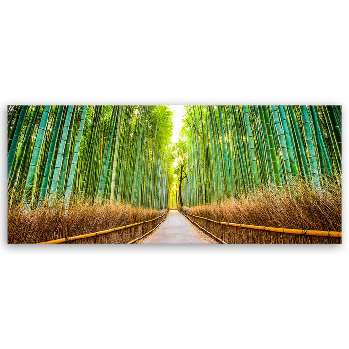 ge Bildet Bild auf Leinwand | Landschaftsbilder - Bambus Wald in Kyoto - Japan J in 100x40 cm als Pa