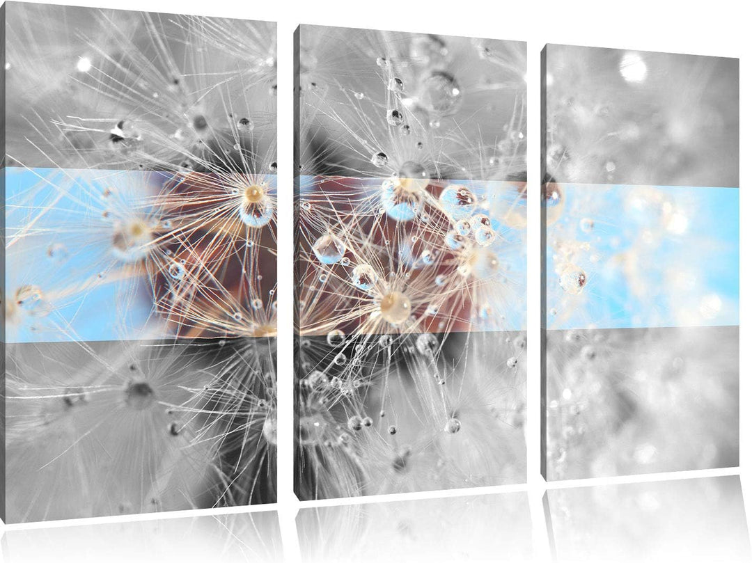 Tropfen an Pusteblume abstrakt schwarz/weiss 3-Teiler Leinwandbild 120x80 Bild auf Leinwand, XXL rie