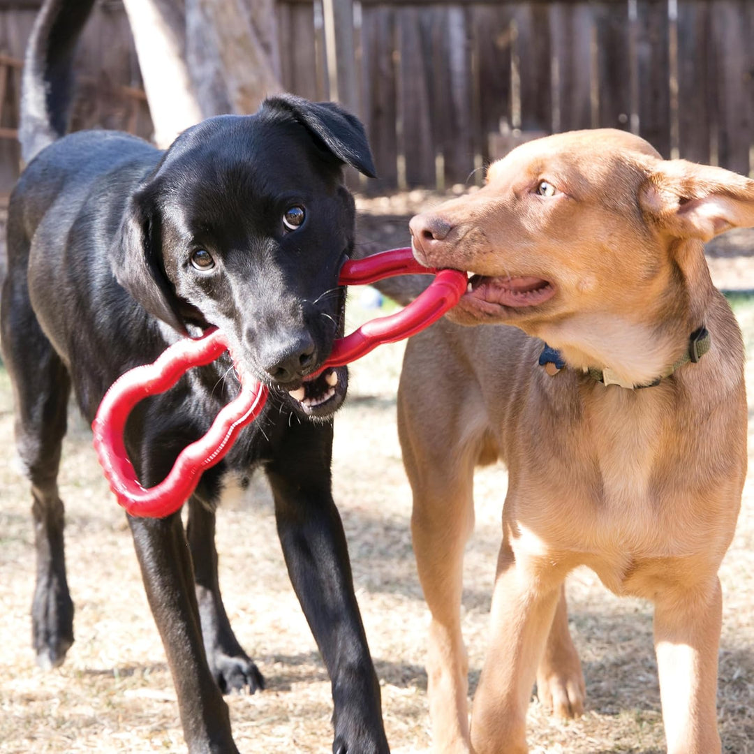 KONG Tug Toy - Hundespielzeug aus Naturkautschuk zum Spielen - Für Mittlelgrosse/Grosse Hunde L 33 x