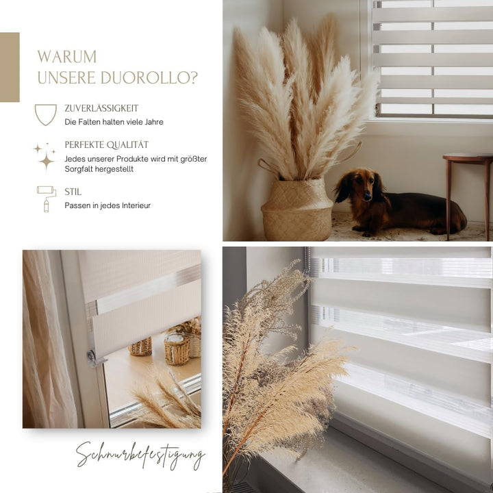 Home-Vision® DuoRollo Klemmfix, Doppelrollo ohne Bohren mit Klämmträgern, Rollos für Fenster und Tür