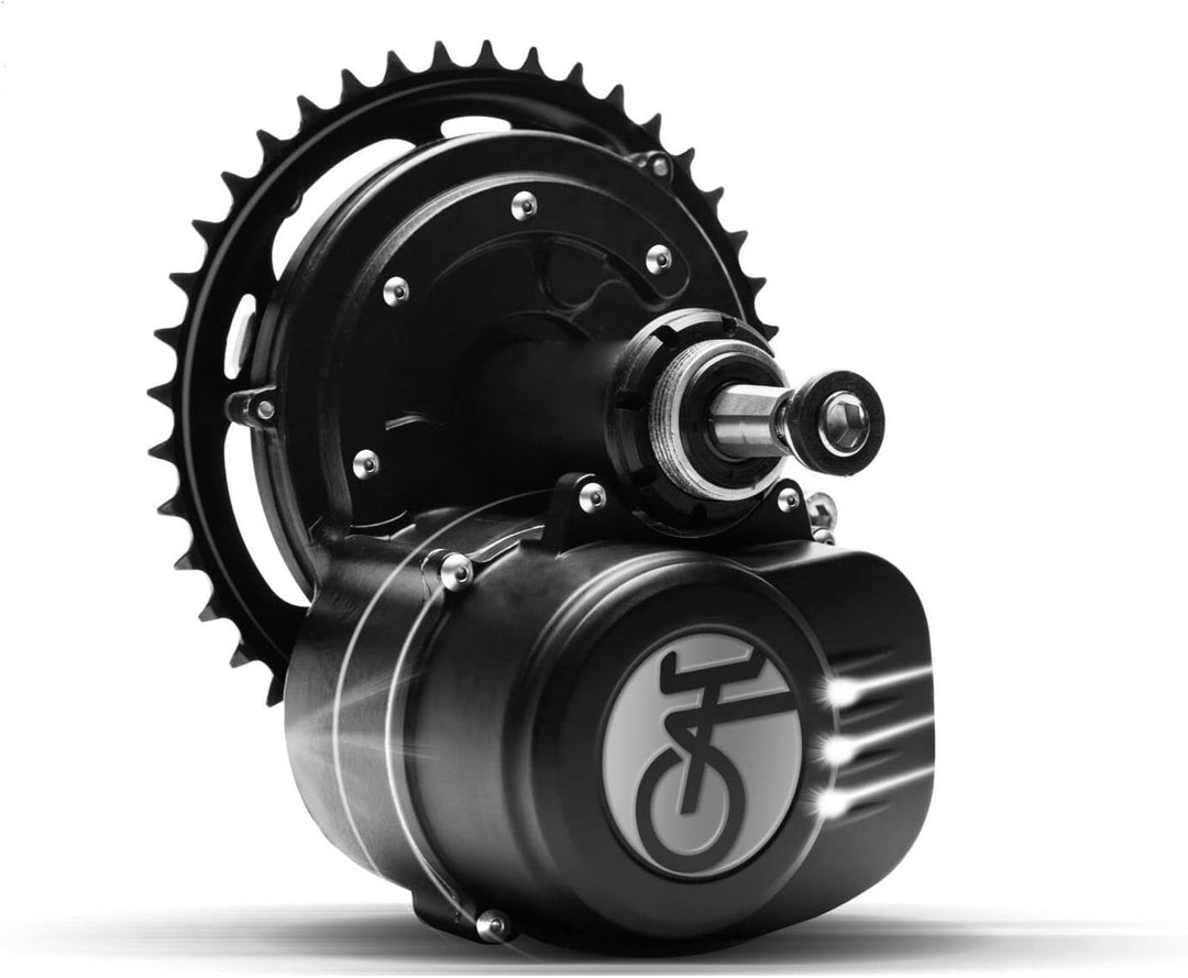 Enerpower Tongsheng TSDZ2 36V 250W Mittelmotor (Edition 2021) mit Zubehör Display & Version wählbar