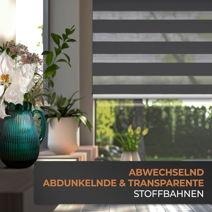 EFIXS Doppelrollo mit Kassette Montage Wand/Decke mit Bohren Breiten: 40-220, Höhe: bis 240 Hier: Bx