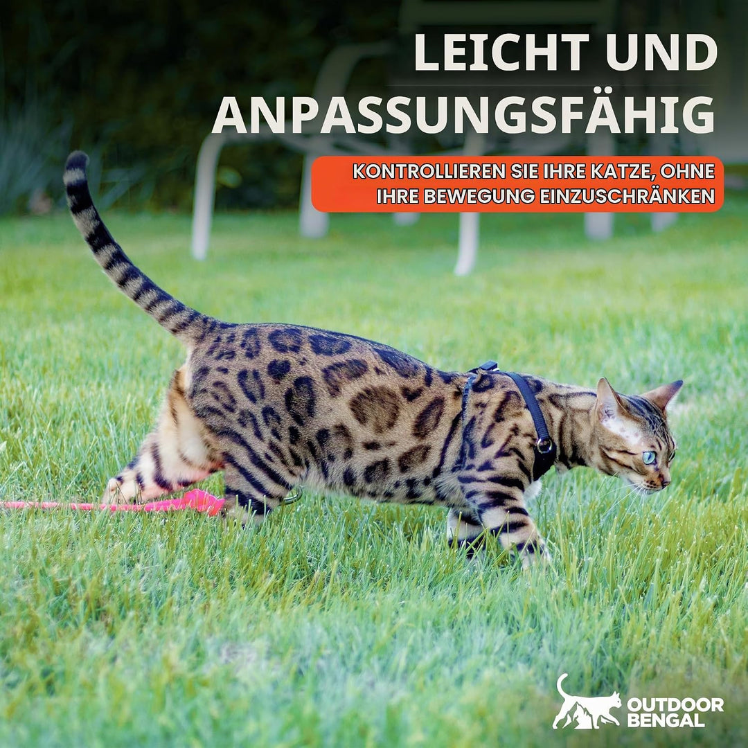 OutdoorBengal Katzengeschirr und Leine, gross, ausbruchsicher, erstickungsfrei, leicht, einfach anzu