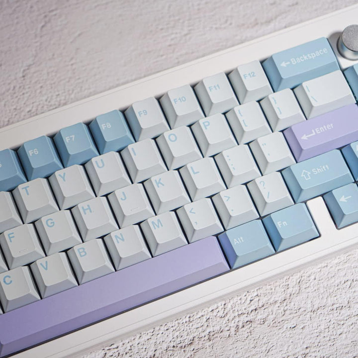 172 Tasten Double Shot Tastenkappen Cherry Profile Illusion Keycaps Fit for 61/64/87/104/108 Cherry