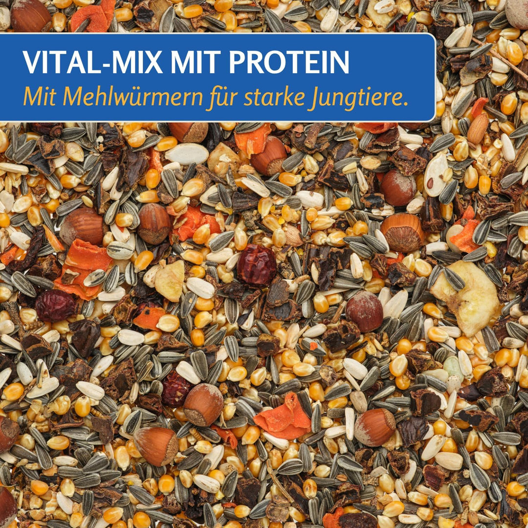 Leimüller Artgerechtes Eichhörnchenfutter Spezial 5 kg I Ganzjahres Futter für Eichhörnchen und Stre