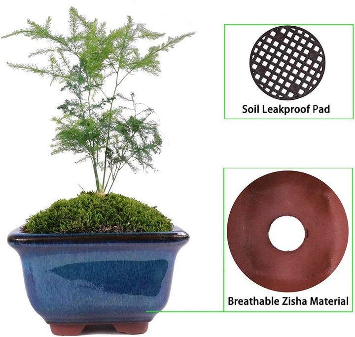 MUZHI Yixing Zisha Bonsai-Topf, Übertopf, glasiert, 7,6 cm, 10,2 cm, Sukkulentententöpfe, Yixing Zis