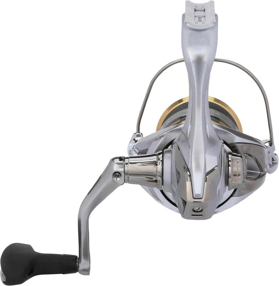 Shimano Sedona FJ Angelrolle C3000 HG, C3000 HG