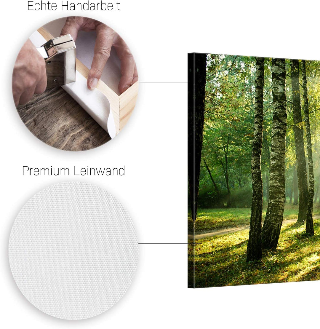 ge Bildet Bild auf Leinwand | Landschaftsbilder - Wald I in 70x50 cm als Wandbild | Wand-deko Dekora