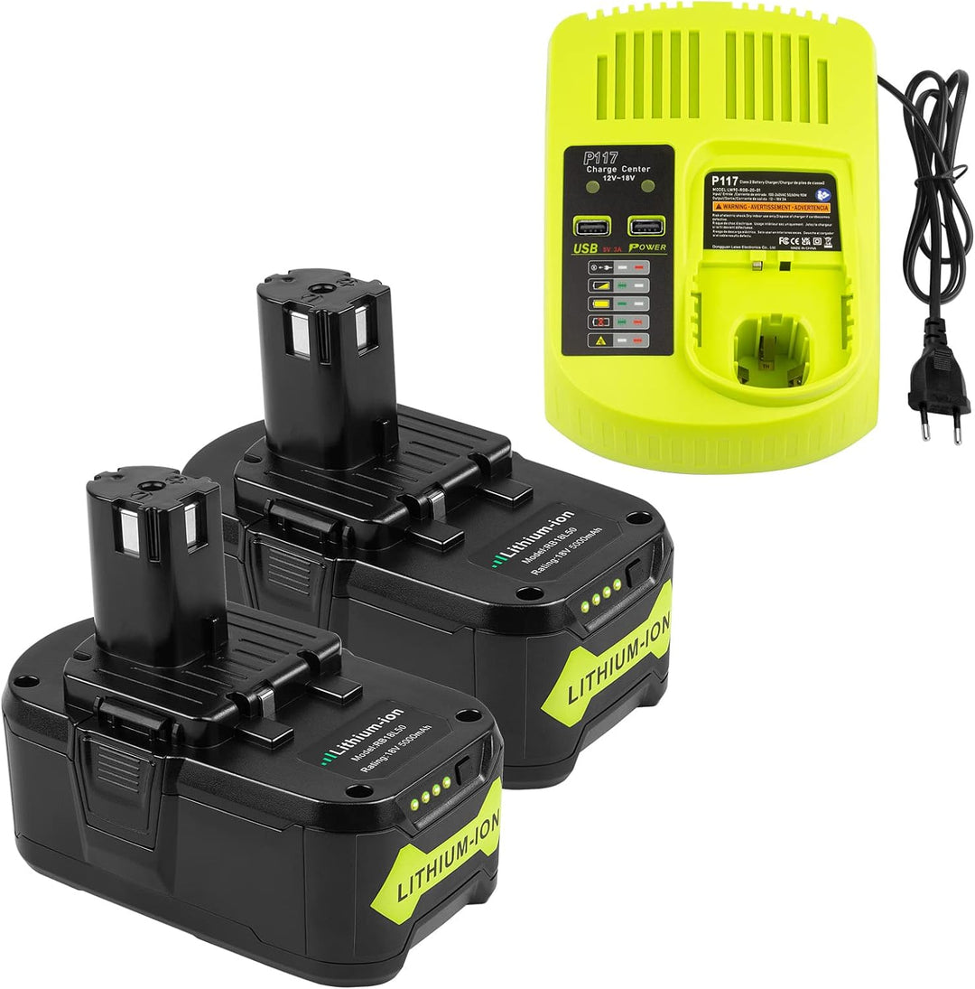 LabTEC RB18L50 18V 5Ah Ersatzakku für Ryobi 2 Packs mit Dual Port Ladegerät Ersatz für Ryobi P117 12