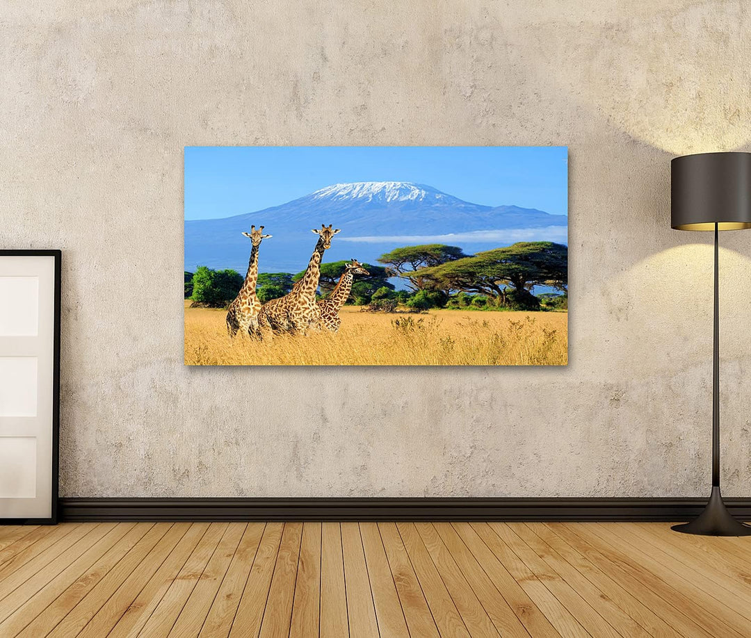 islandburner Bild auf Leinwand Drei Giraffen Nationalpark Kenia Kilimanjaro Berg Hintergrund Afrika