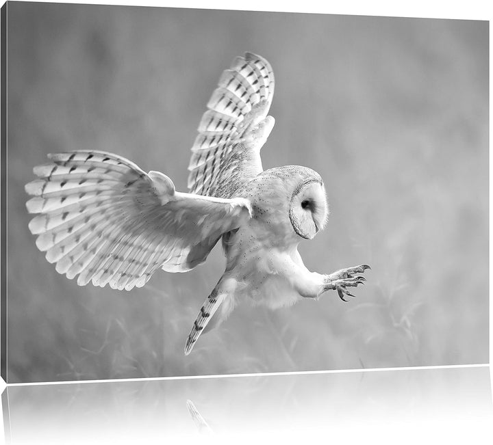 Pixxprint Fliegende Eule bei der Jagd / 100x70cm Leinwandbild bespannt auf Holzrahmen/Wandbild Kunst