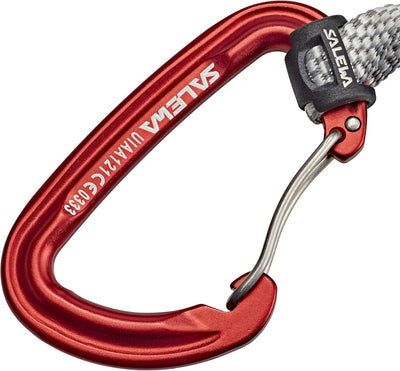 SALEWA Erwachsene Quick Screw Eisschraube 190 mm RED, 190 mm RED